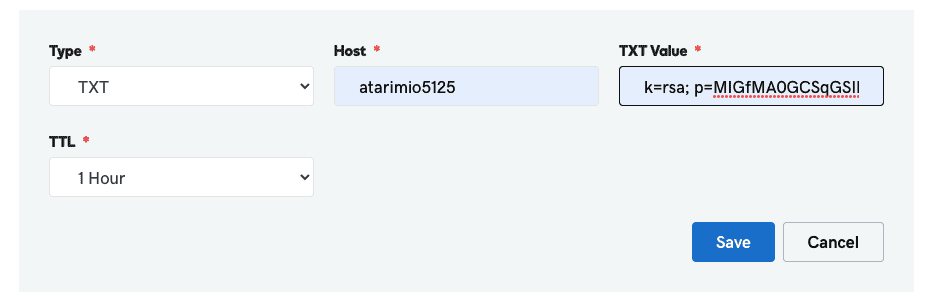 DKIM record entry in the DNS records table