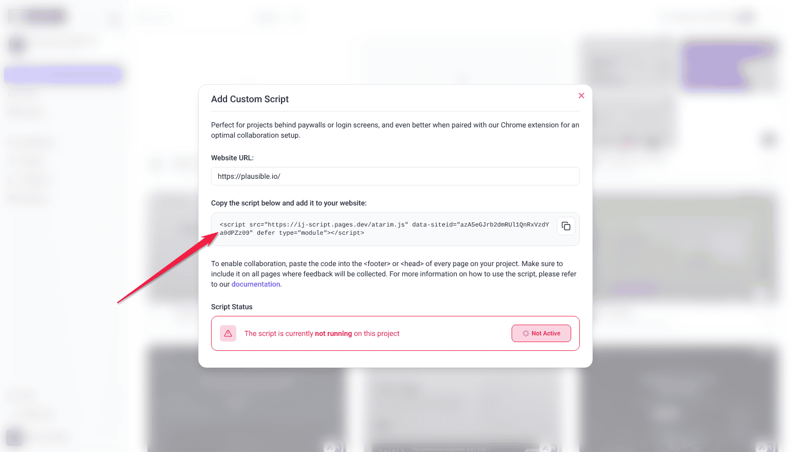 Add Custom Script window with the website URL, the script to copy and the script status