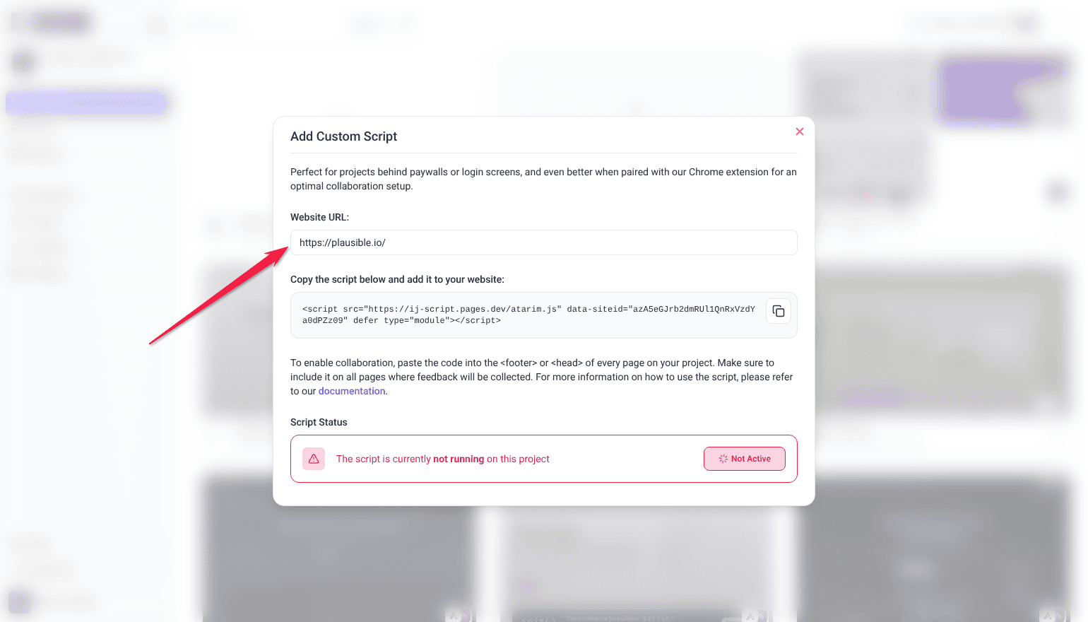 Add Custom Script window opened from Connect the website, showing the project's website URL