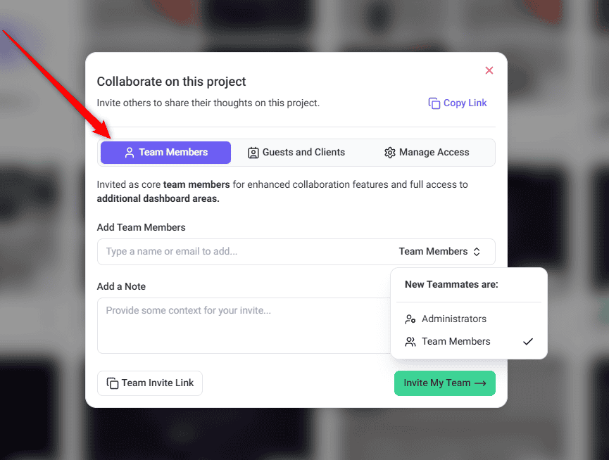 Role choice between Team Member and Administrator