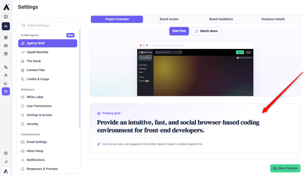 Project Overview tab showing the primary goal field