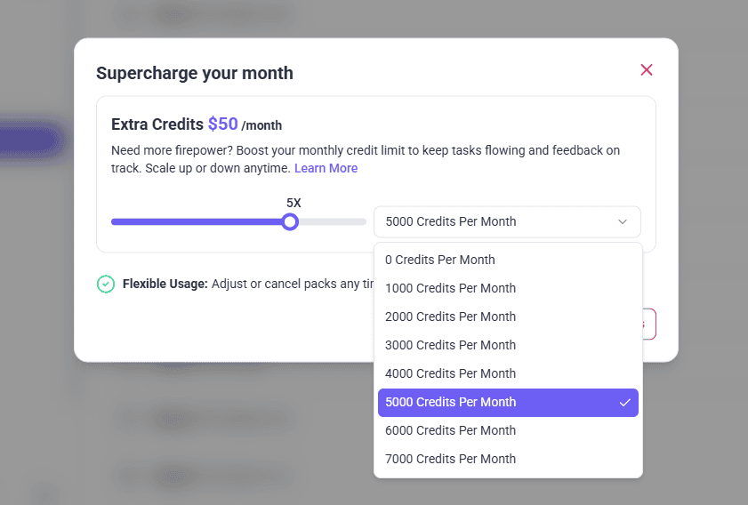 Credit pack being chosen from the dropdown